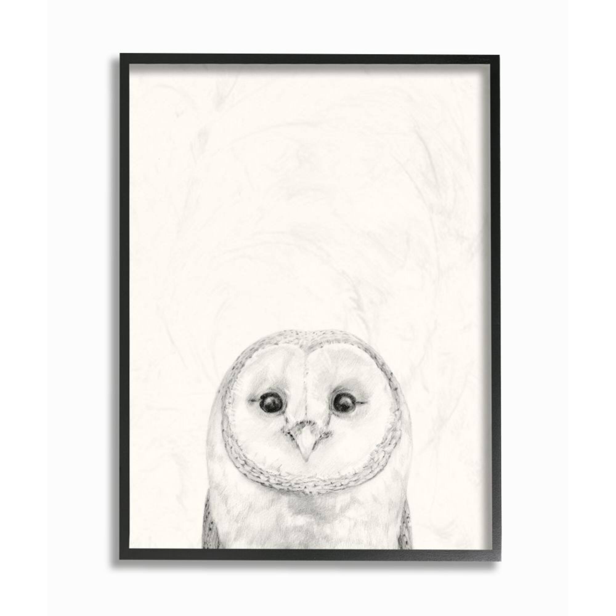 Stupell Industries Owl Portrait Grey Drawing Design Framed Wall Art